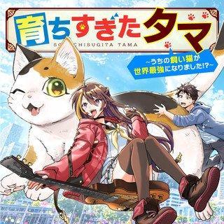 SODACHI SUGITA TAMA: UCHI NO KAINEKO GA SEKAI SAIKYOU NI NARIMASHITA!?
